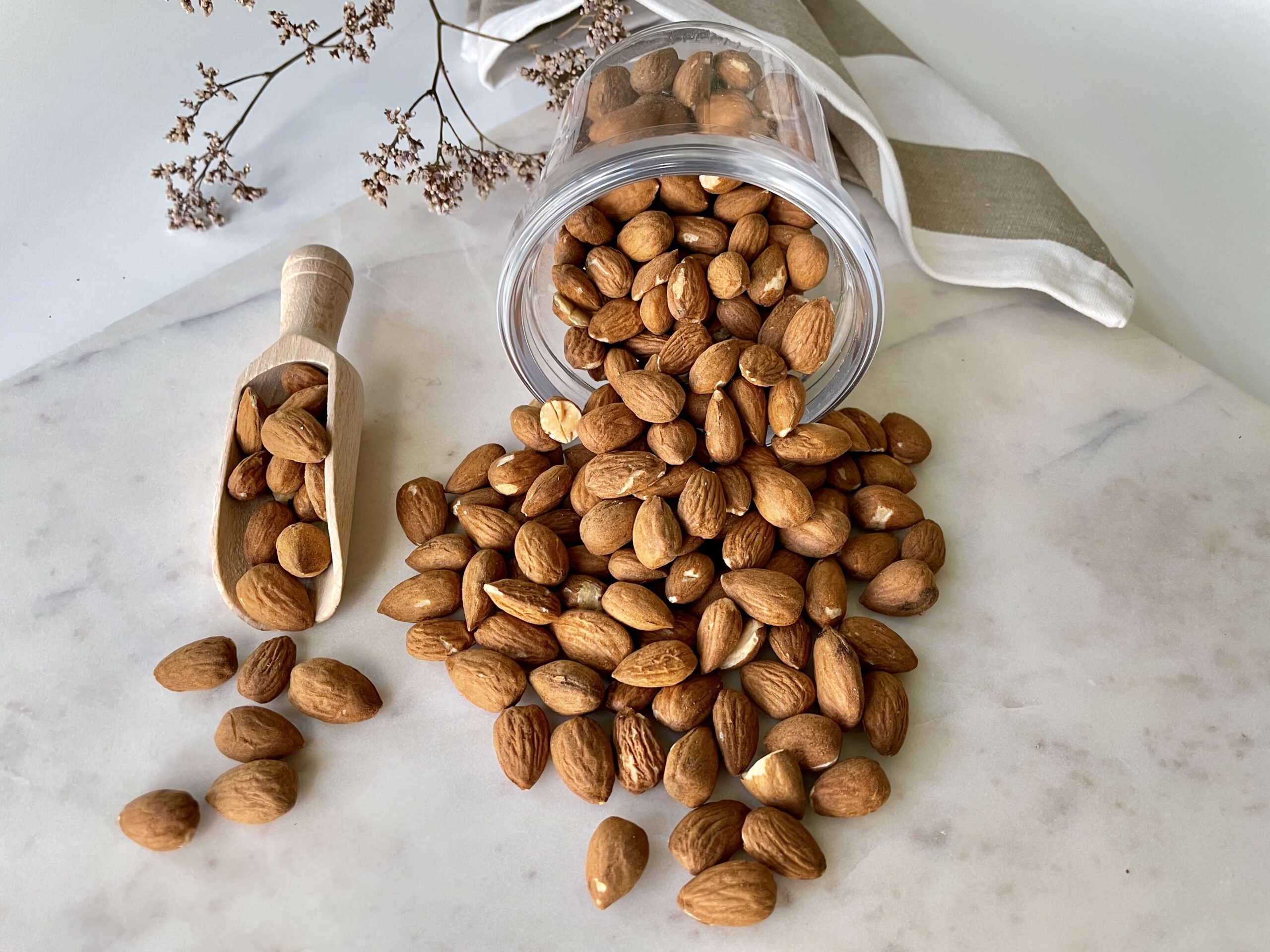 Organic Almonds Dry Roasted Unsalted Left Coast Organics