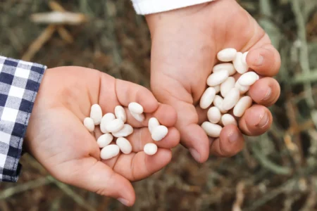 beans in hands