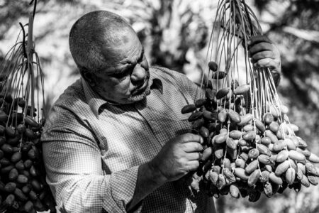 El Hadj One of our best growers